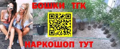 шишки Обнинск
